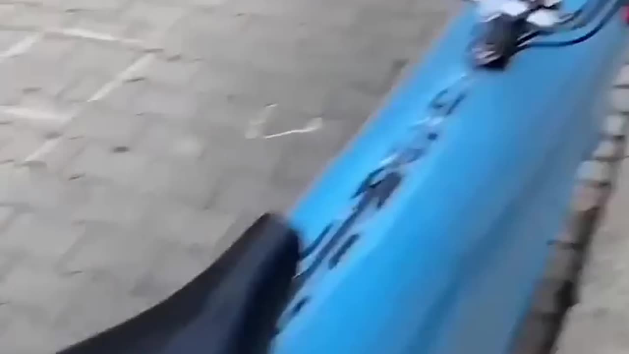 respect