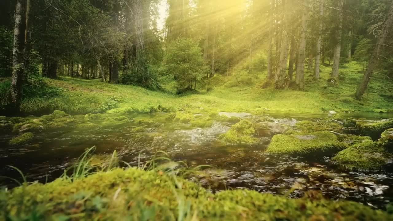 calm natural atmosphere....and the sun is shining