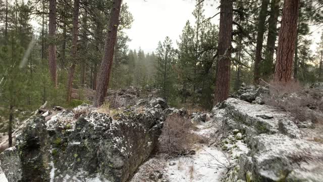 Hiking Volcanic Row – Central Oregon – Edison Sno-Park – 4K