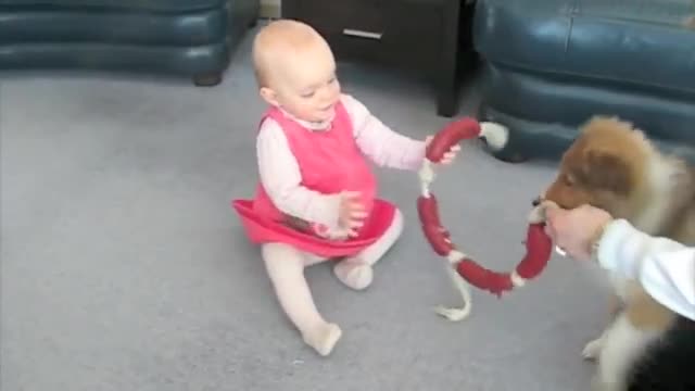 CANIDEAN BABY AND CUTE PUPPY GAME.