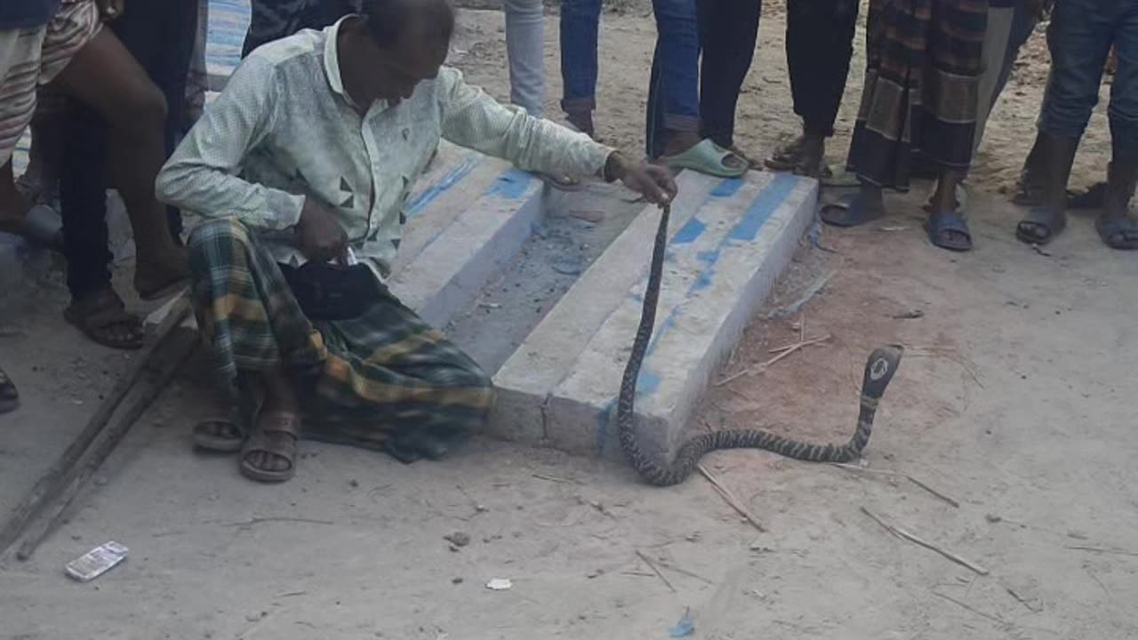 Village boys play with snakes