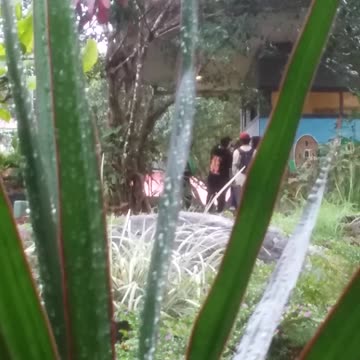 16.9.2024 Party in the Park, Kuranda (2)