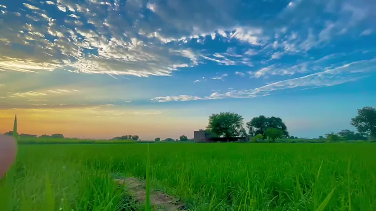 Village morning view