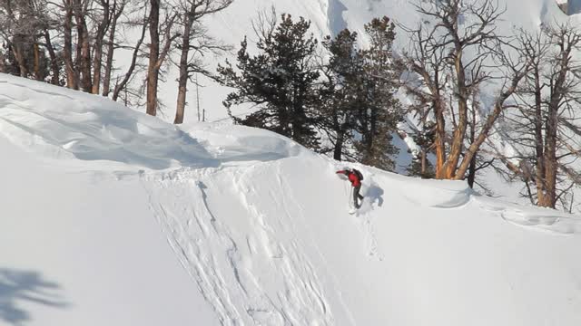 Tony and Ben in the Brighton Backcountry