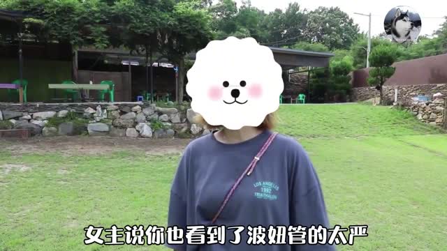 “比熊夫妻”感情出现裂痕，丈夫爱上了猫，狗也有七年之痒？