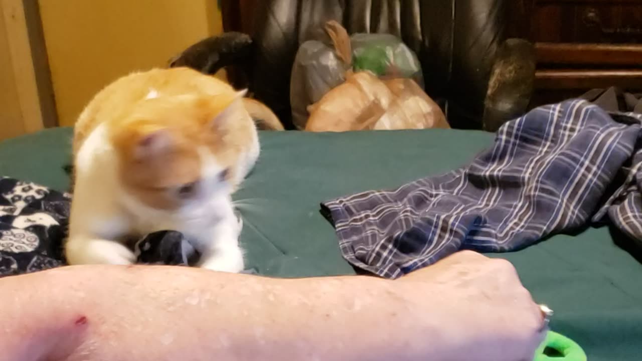 Sometimes you just have to settle?