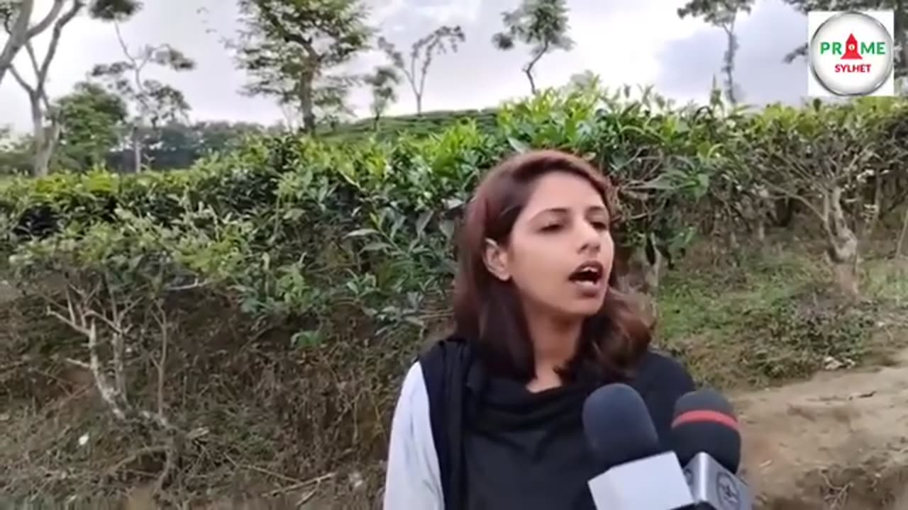 Comedy