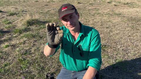 Commonwealth Penny 1922 Metal Detecting