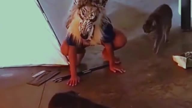 Interesting animal world,Make you laugh every day and enjoy a good mood.