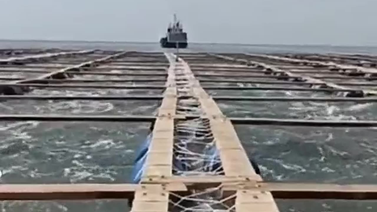Diesel smuggling