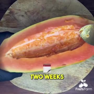 Fred’s Farm Herbs - Want to get rid of parasites 👇🏽