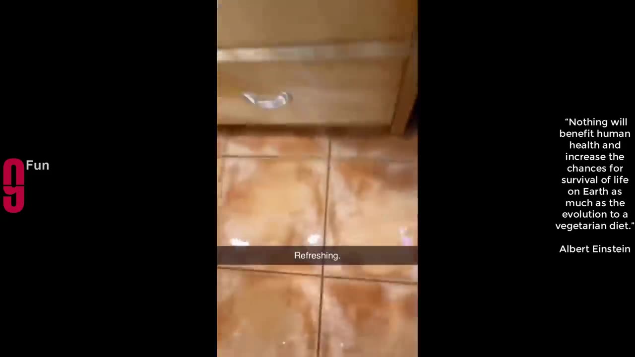 Try to Don't laugh