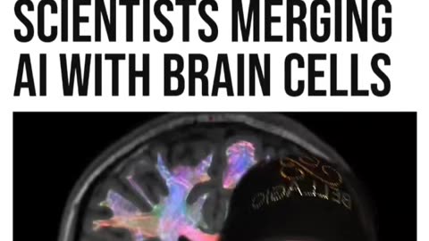 The great & wonderful SCIENCE