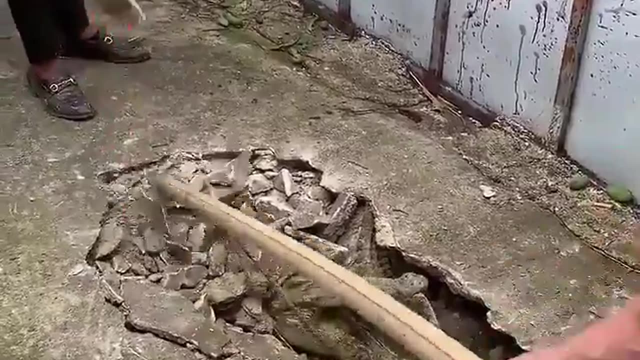 I could not believe my eyes