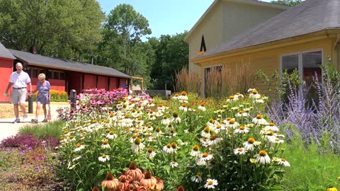 Guilford Craft Expo presented by Guilford Art Center