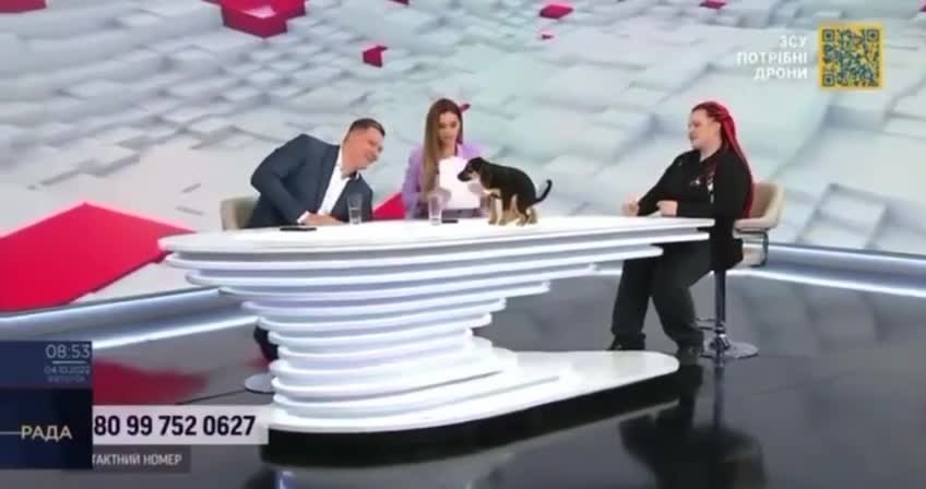 PUPPY WAS QUESTIONED ABOUT HIS OPINION ON BIDEN AND ZELENSKY...
