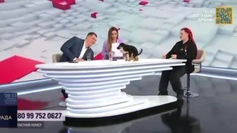 PUPPY WAS QUESTIONED ABOUT HIS OPINION ON BIDEN AND ZELENSKY...