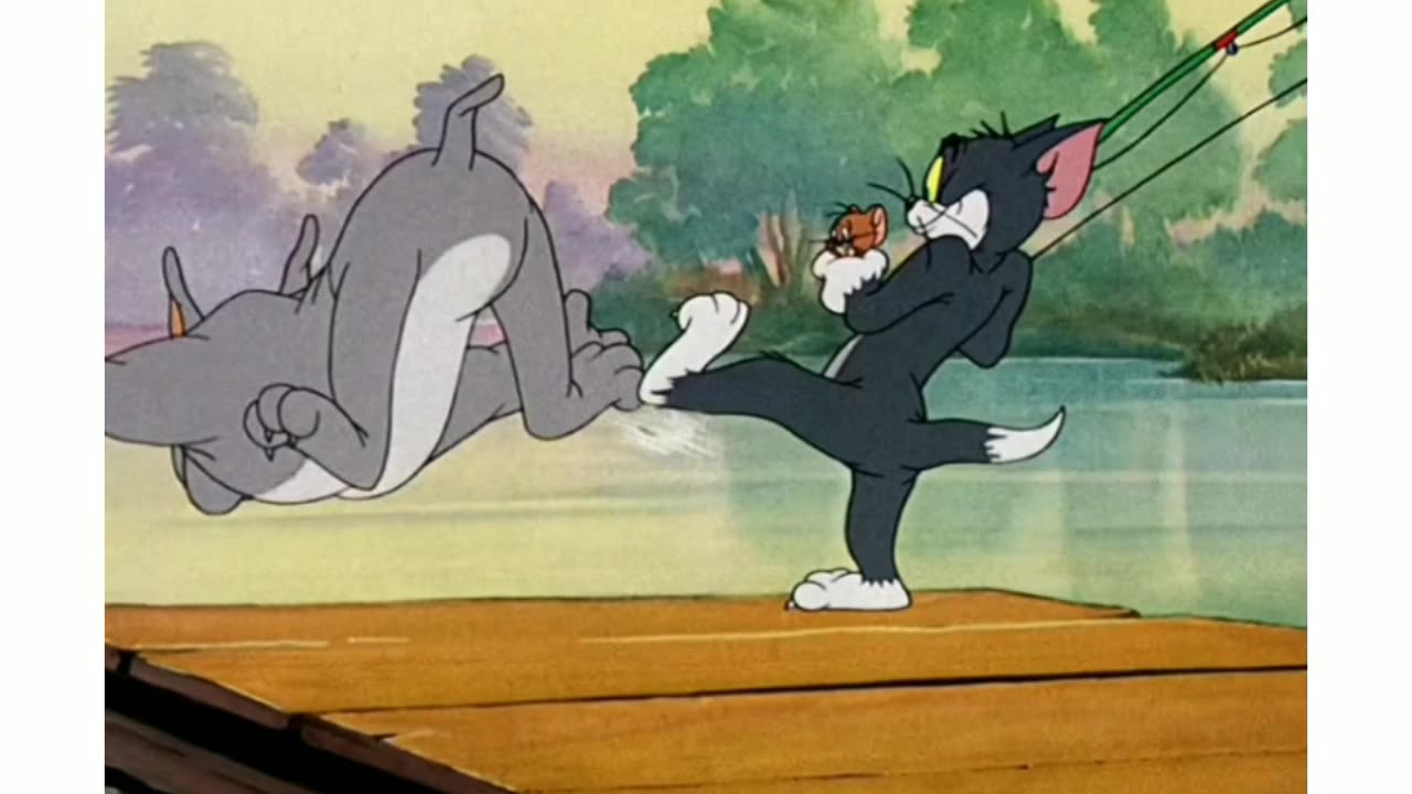 Tom&Jerry Funny Scenes