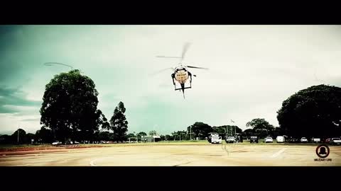 🇺🇸🇧🇷 🐸🙏 Pray For Brazil | #1