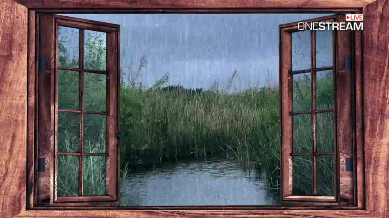 EXTREME Rain & Thunder in Hidden House inside the Forest-Rain Sounds for Sleep