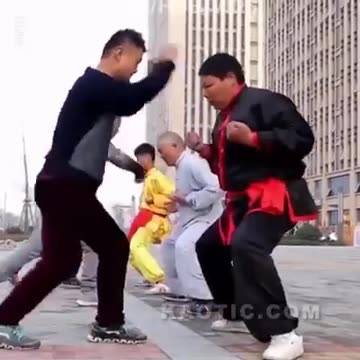 Martial arts. But can they have children? 😂