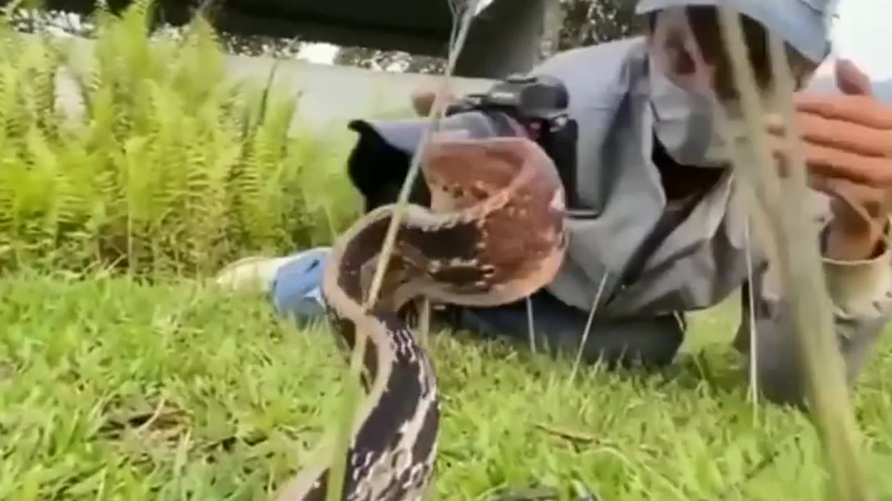 respect π―π₯π₯Άπ±