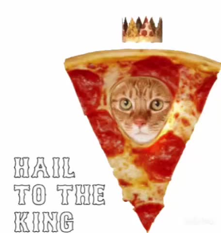 Cute Cat Pizza Gif! 🥰💗🐈🍕