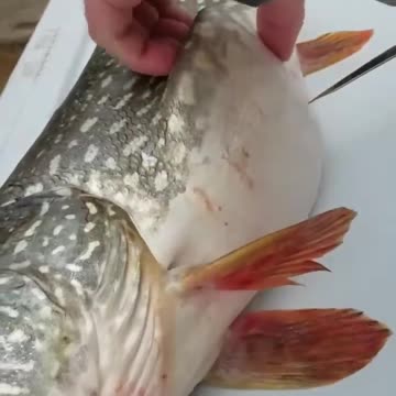 I was not expecting that😲😲😲