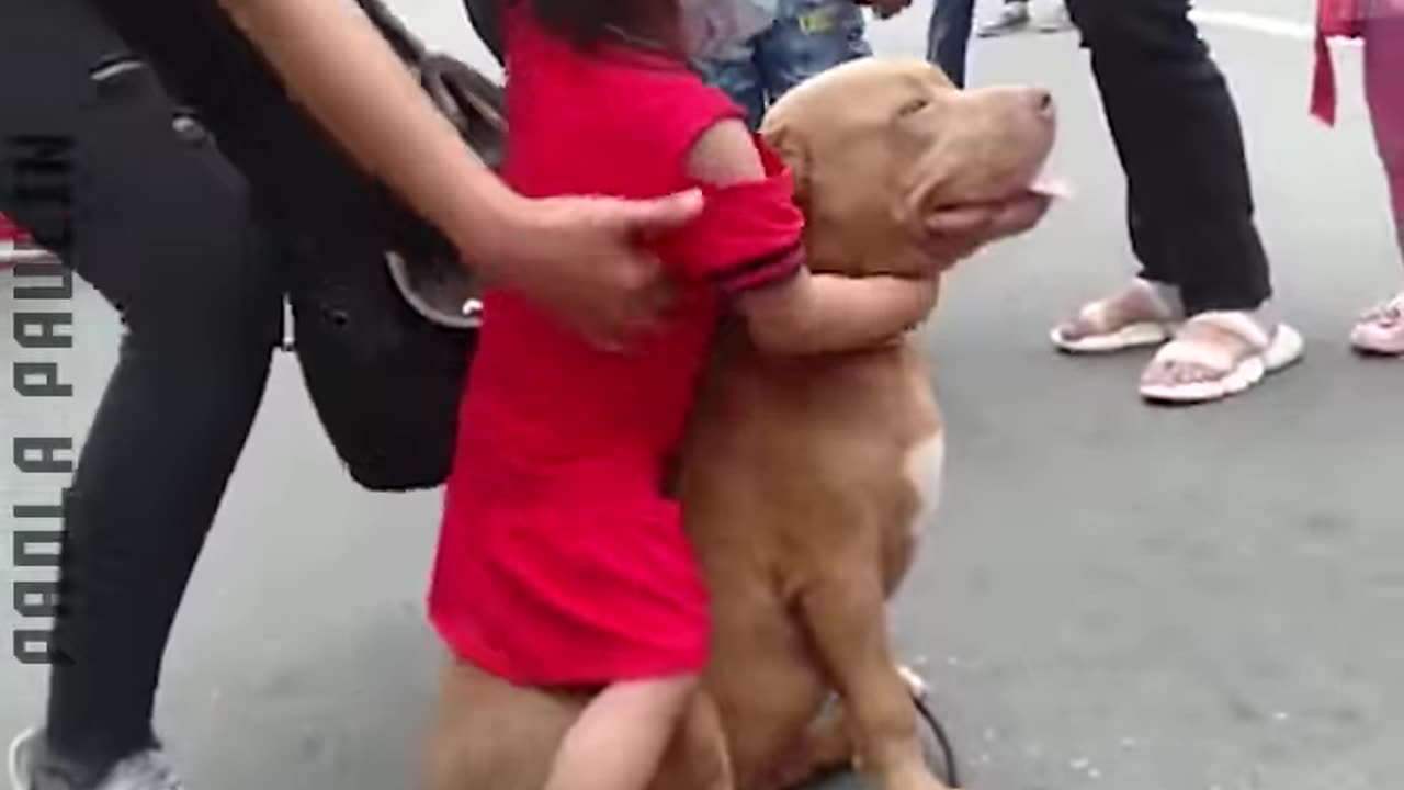 Lovely Kids & Animals