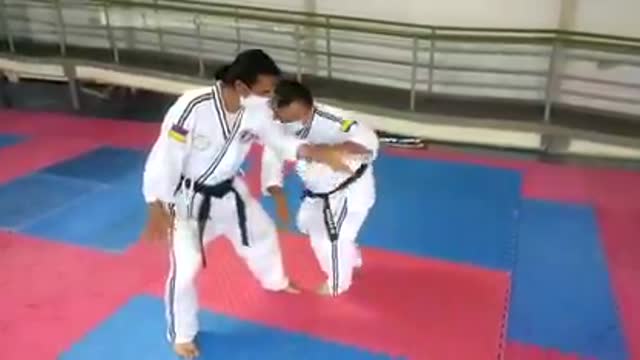 Hapkido