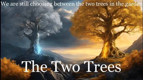 The Two Trees