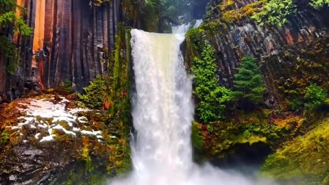 Beauty of Nature