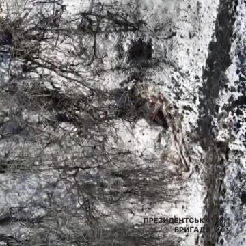 Another unsuccessful assault on the Russians