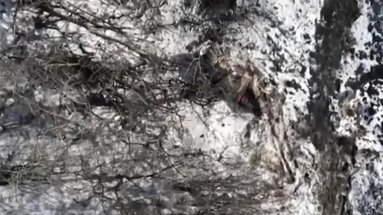 Another unsuccessful assault on the Russians