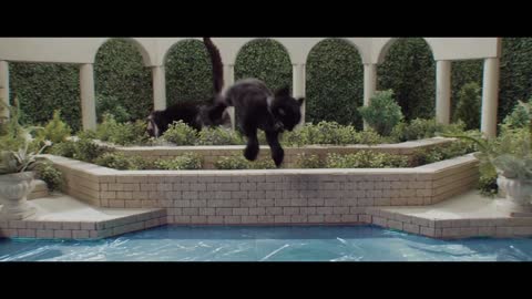 Keanu - Kitten, Please Spoof Trailer [HD]