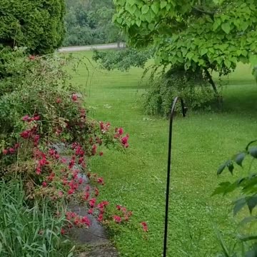 Saturday Evening Rainshowers