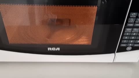 What Happens When You Microwave a Magic the Gathering Card_