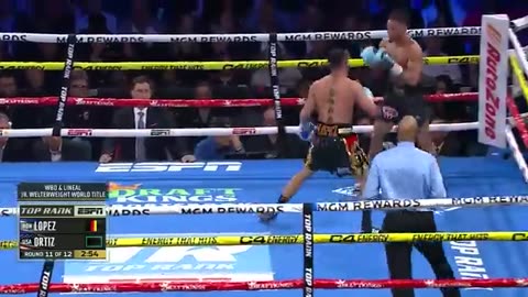 Teofimo Vs Jamaine Ortiz | fight highlights