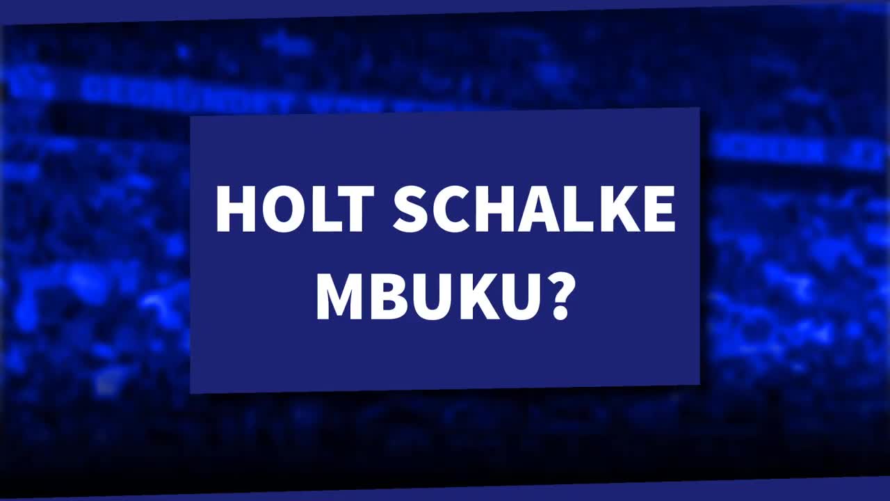 Neuer Flügelspieler für Schalke? Interesse an Talent Nathanaël Mbuku!