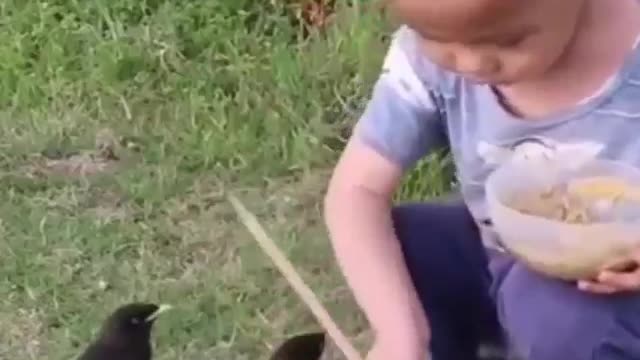 Kind child feeding the birds #shorts #viral #shortsvideo #video