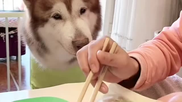 To take a bite, keep a close eye on each step