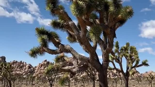 Best nature viewsIN CALIFORNIAthat don't require much hiking