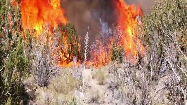 California pinon hills fire captured on video