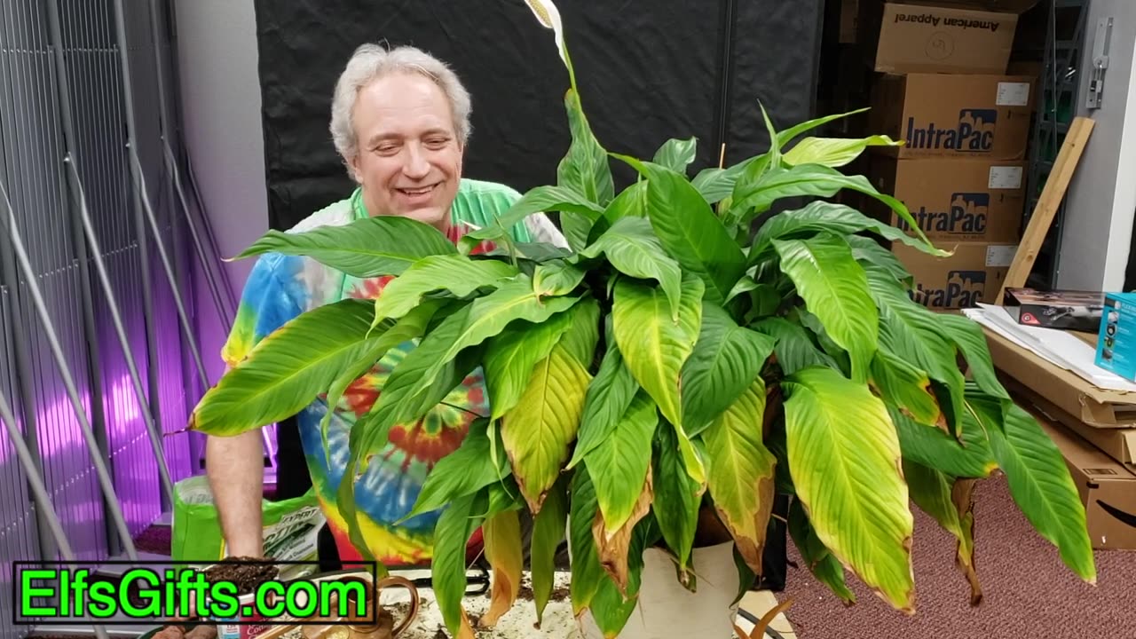 Husband Surprises Wife With Custom Anniversary Flower Pot!