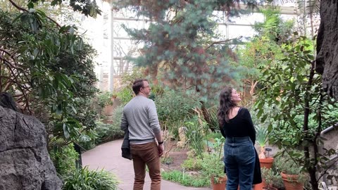 Conservatories @ Brooklyn Botanic Garden (2)