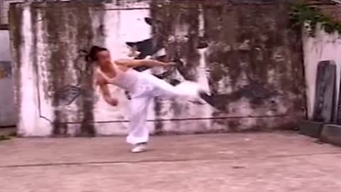 chinese kungfu culture