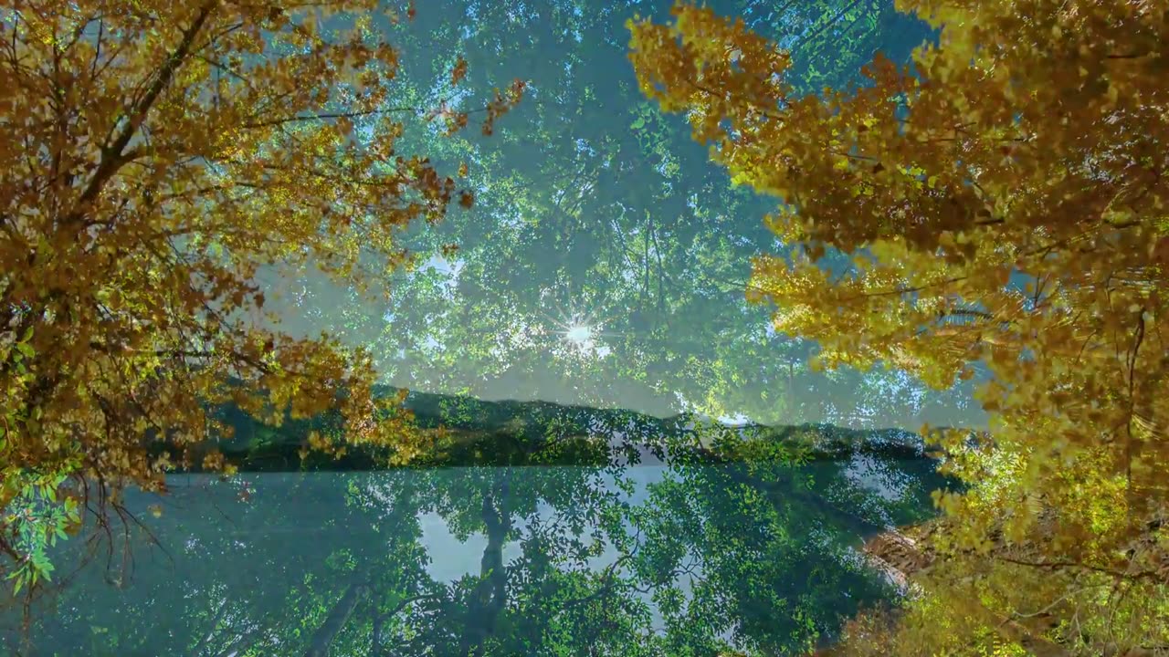 Beautiful Nature