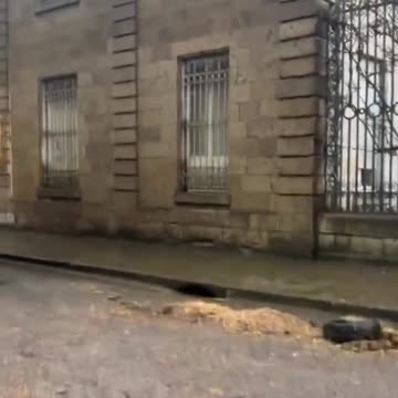 The French farmers are rising up against their government.