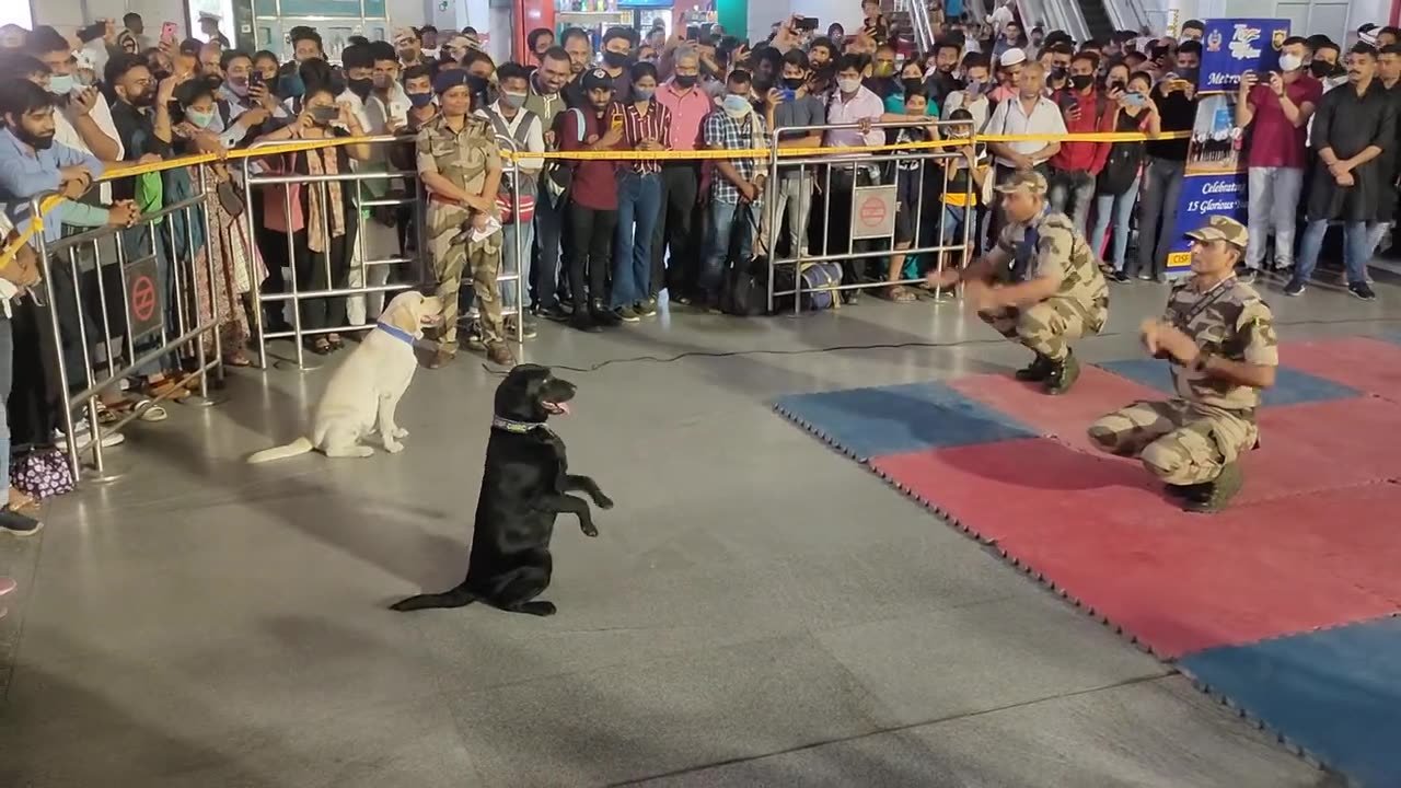 CISF INDIAN DOG TRENING RAJIV CHOUK METRO DELHI