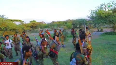 Qophii Arraata Biyyoolessa Oromiyaa Onkoloolessa 28, 2023